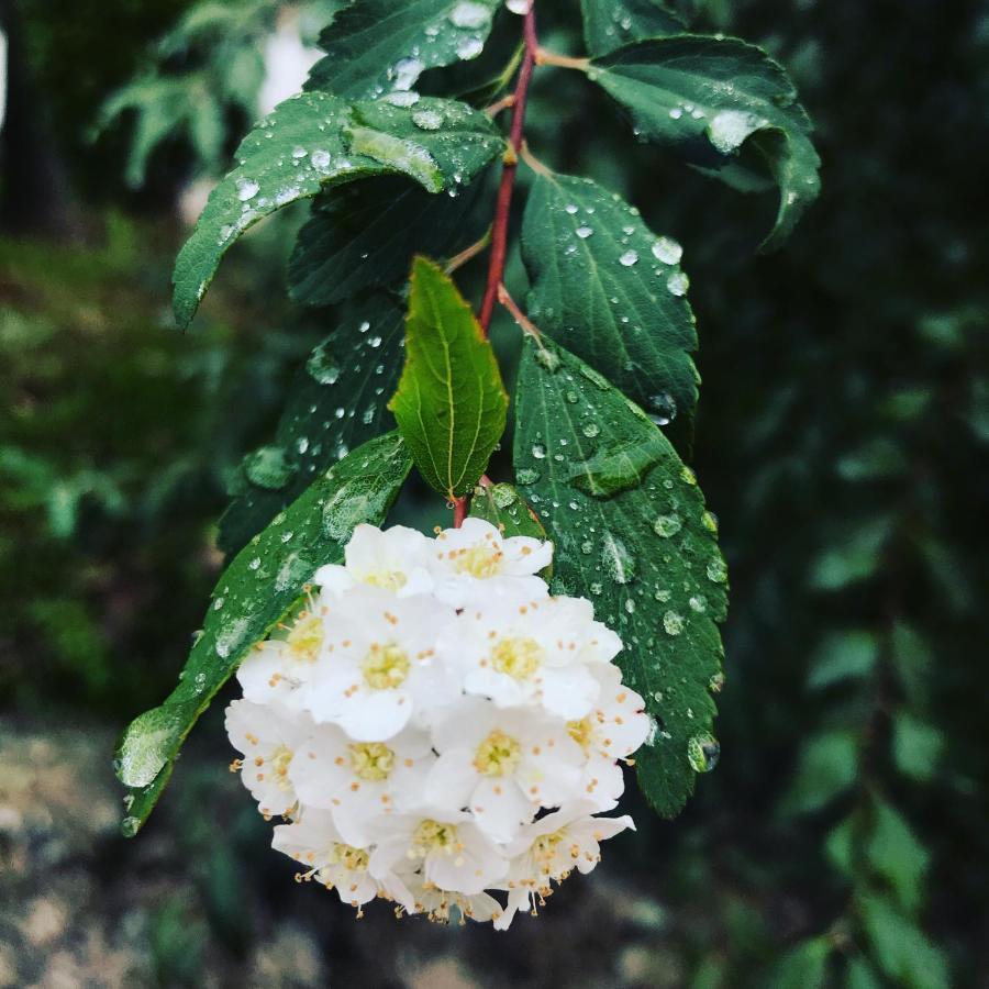 Casal Da Batoca Nature House ฟาฟี ภายนอก รูปภาพ